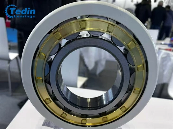 Electrically Insulated Bearings